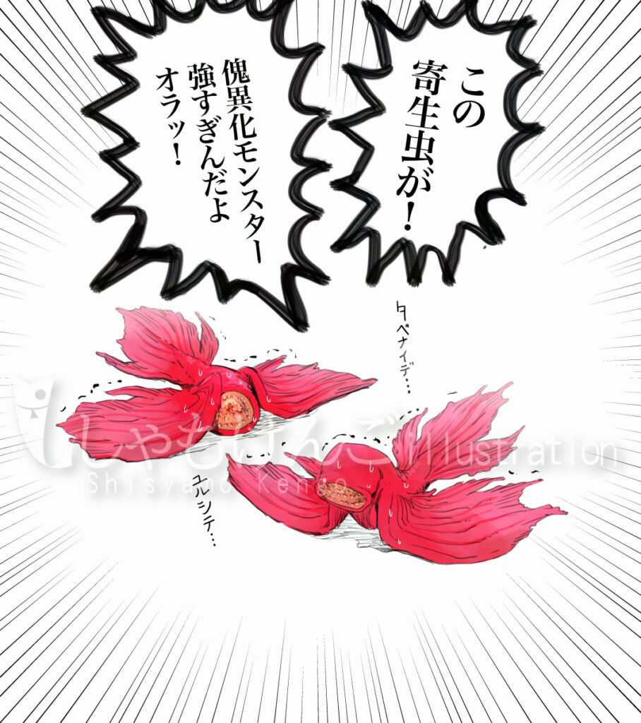 モンスターハンターRISE キュリア
