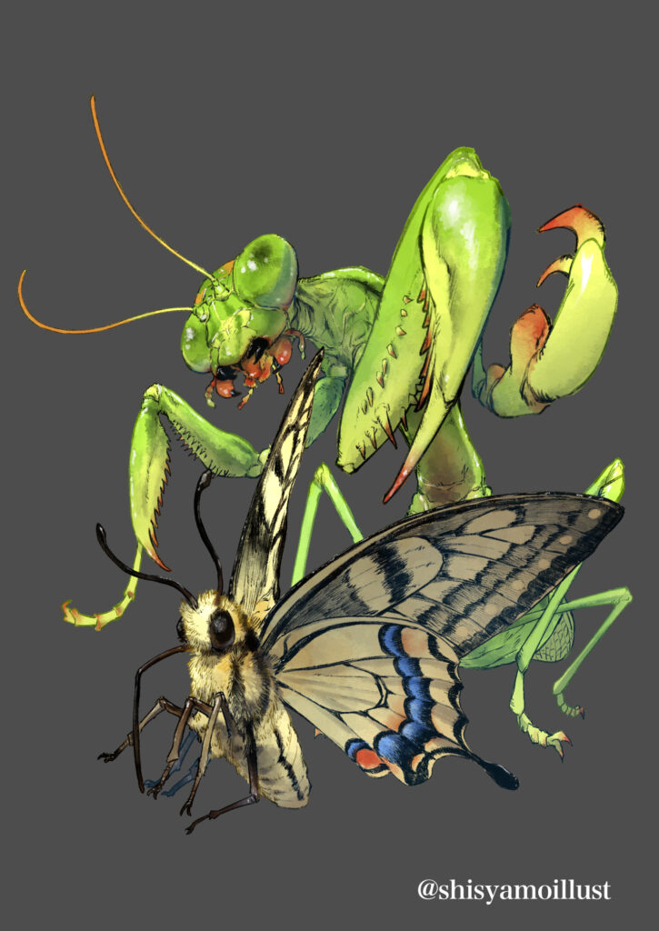 特別昆虫展「HUNTER INSECT」メインビジュアル制作サンプル オオカマキリ キアゲハ 差分