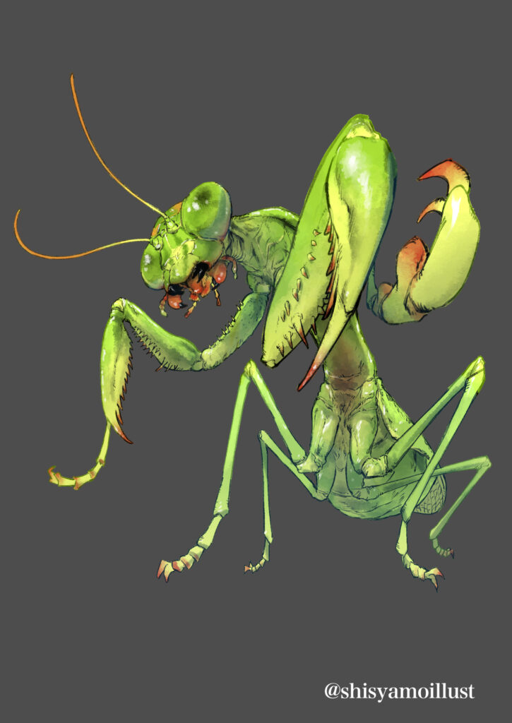 特別昆虫展「HUNTER INSECT」メインビジュアル制作サンプル オオカマキリ 差分