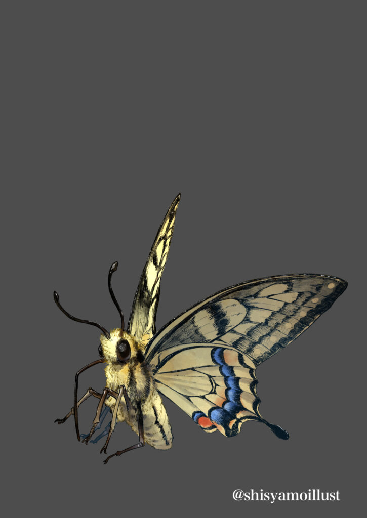 特別昆虫展「HUNTER INSECT」メインビジュアル制作サンプル キアゲハ 差分