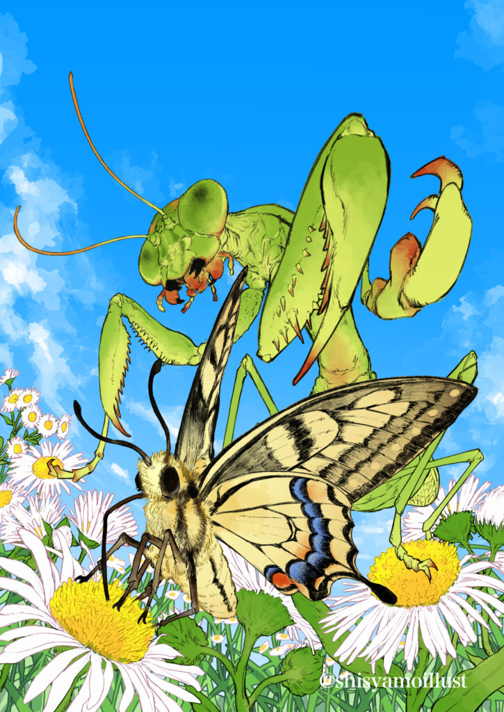 特別昆虫展「HUNTER INSECT」メインビジュアル制作サンプル オオカマキリ キアゲハ ハルジオン 固有色